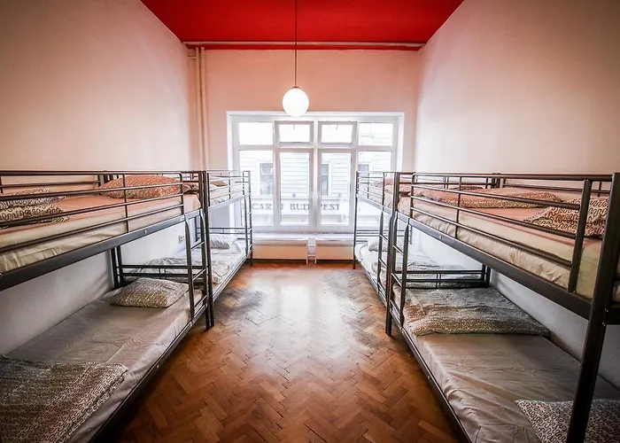 Hostel Cooltour *